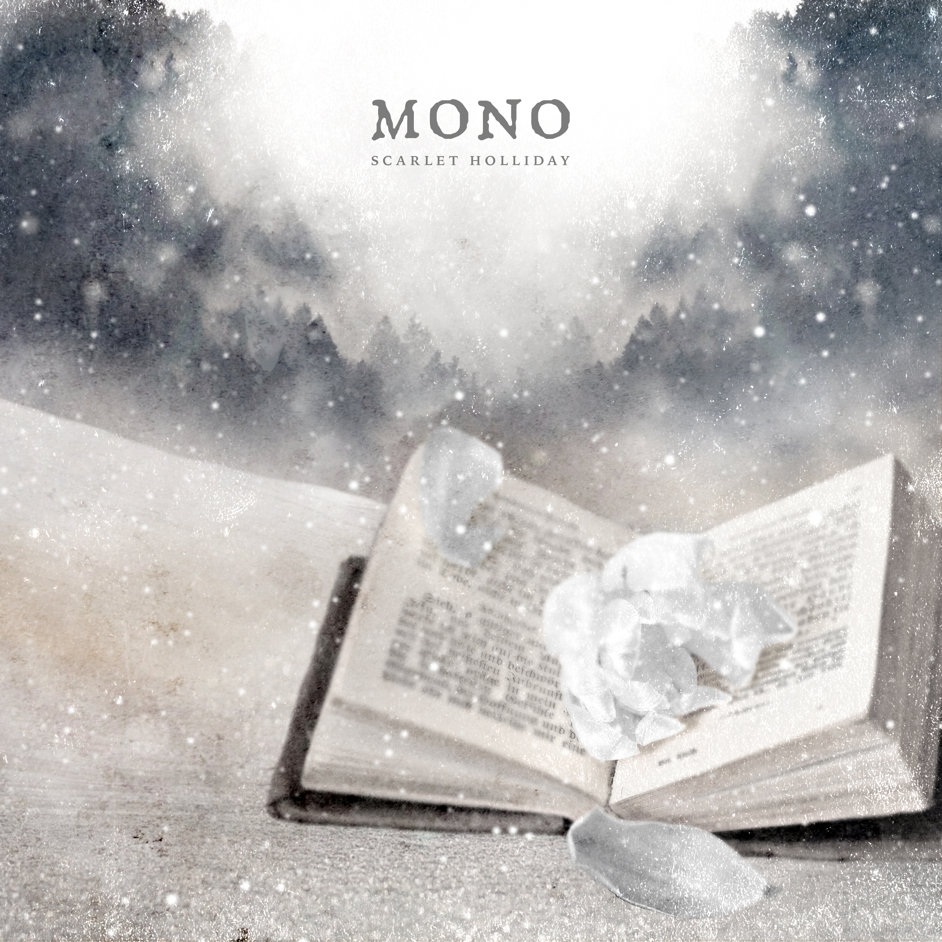 MONO — Scarlet Holliday