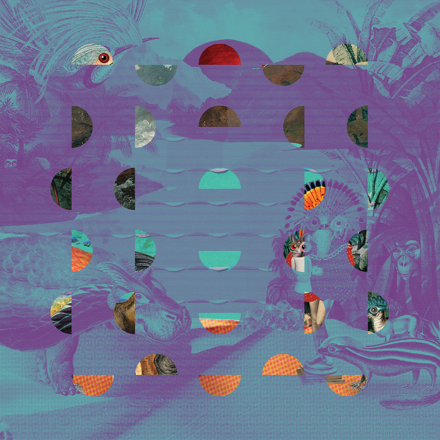 Various Artists — Jazz Dispensary: Super Skunk