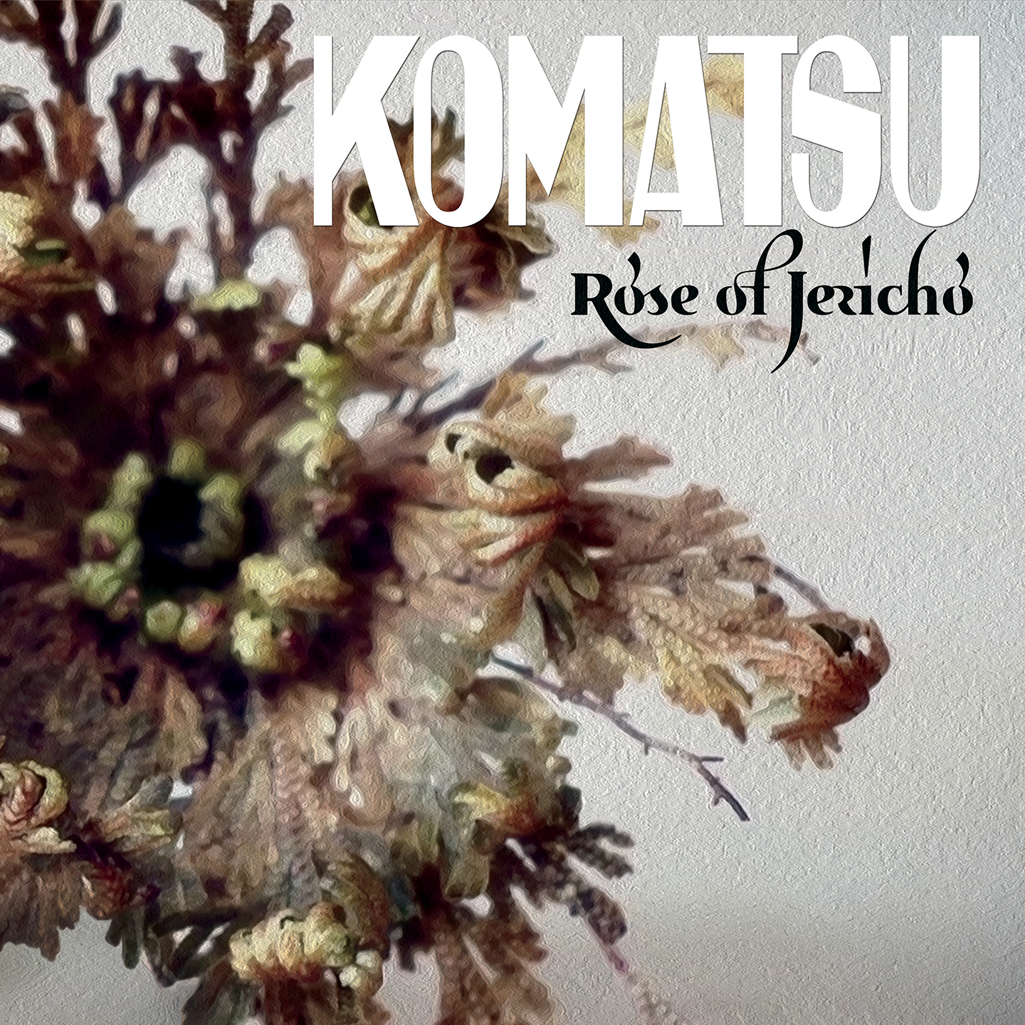 KOMATSU — ROSE OF JERICHO
