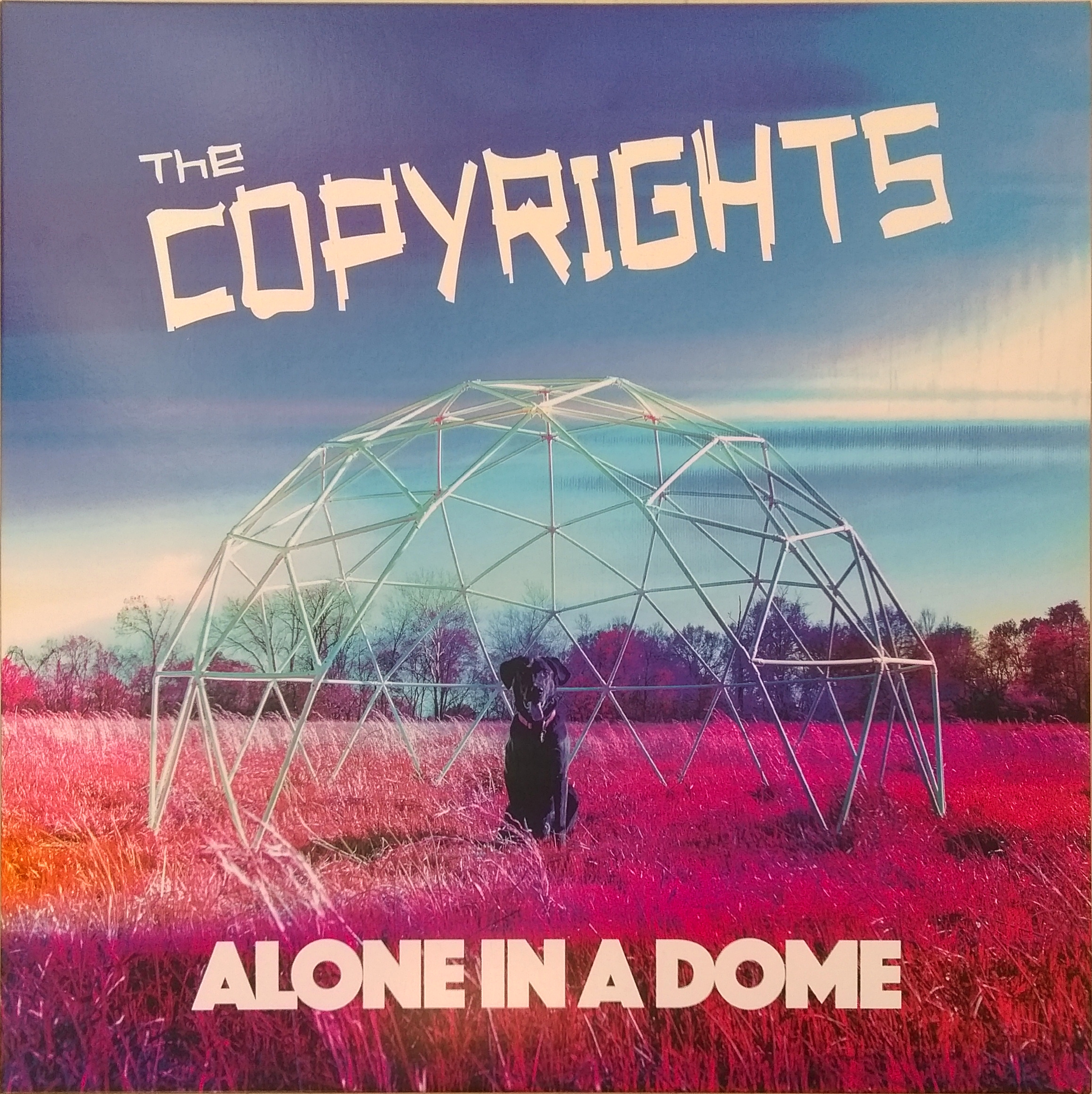 COPYRIGHTS — ALONE IN A DOME