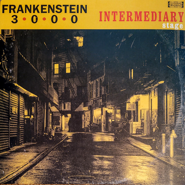 FRANKENSTEIN 3000 — INTERMEDIARY STAGE