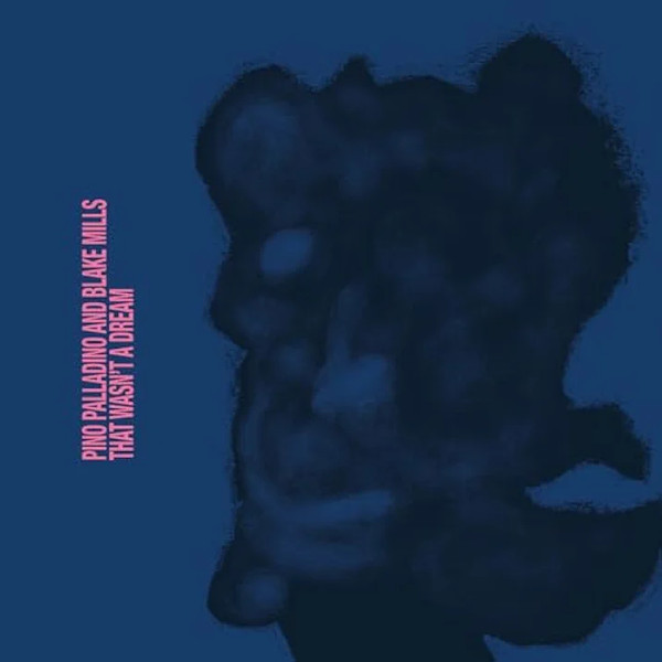 Pino Palladino & Blake Mills ‚Äì That Wasn't A Dream (1LP) — unknown