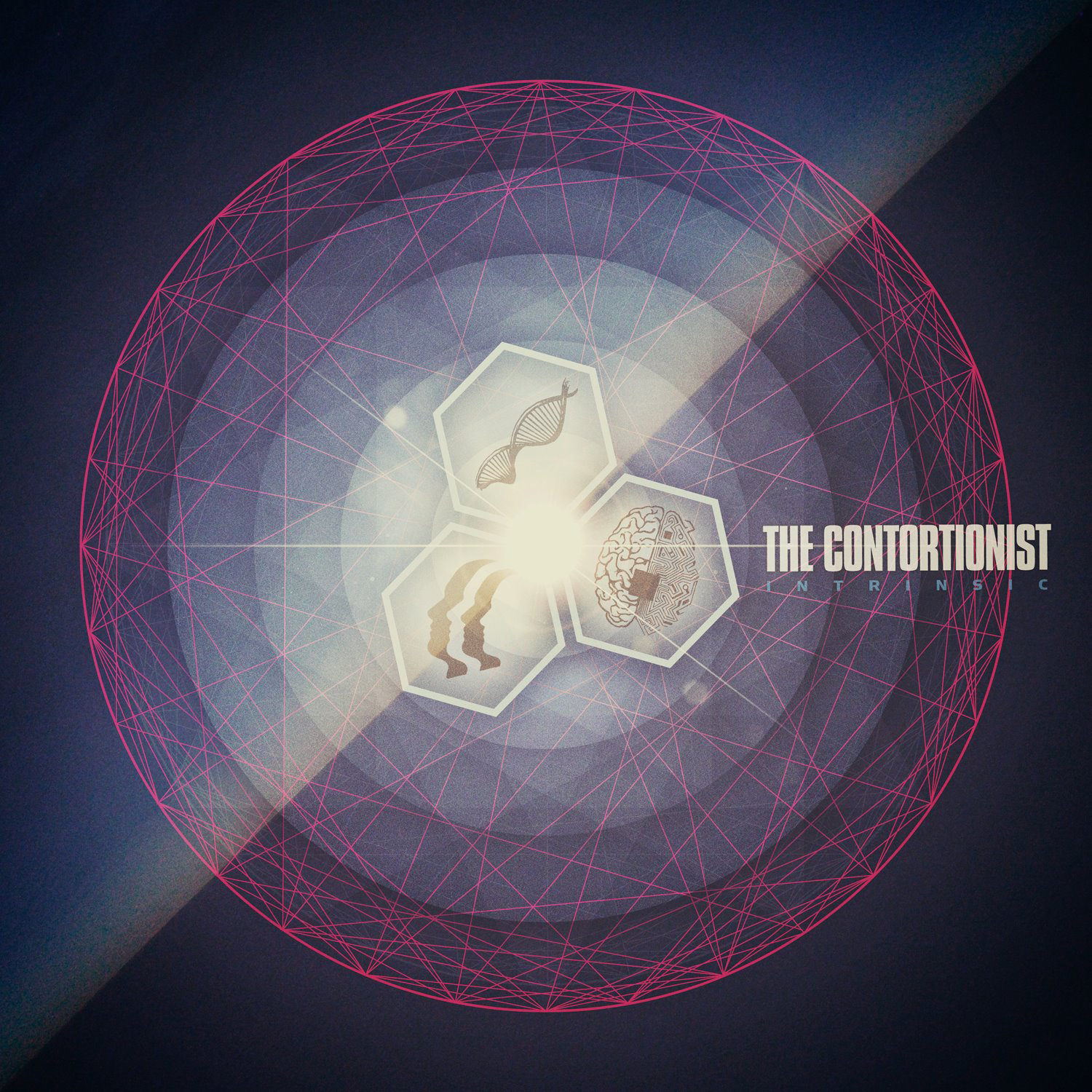 THE CONTORTIONIST — INTRINSIC