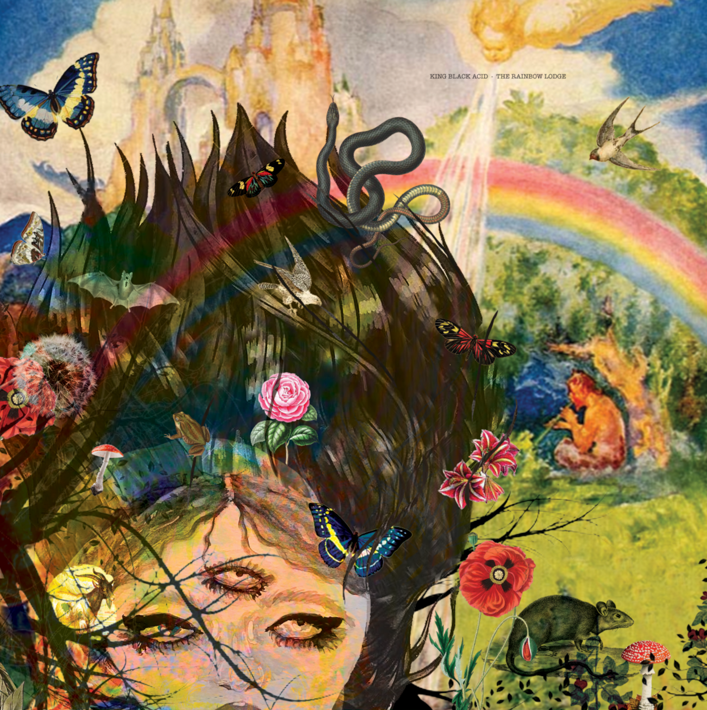 KING BLACK ACID — RAINBOW LODGE