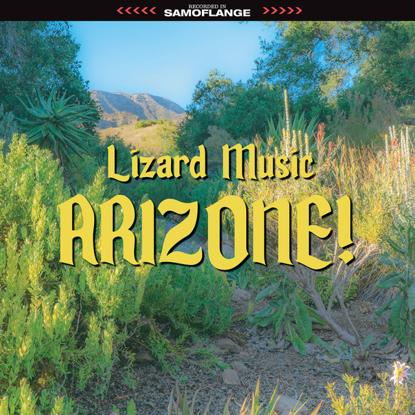 Lizard Music — Arizone!