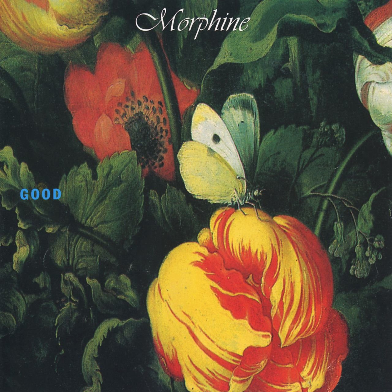 MORPHINE — GOOD