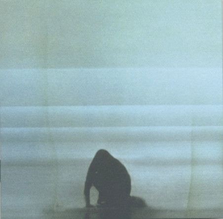 FOALS — What Went Down