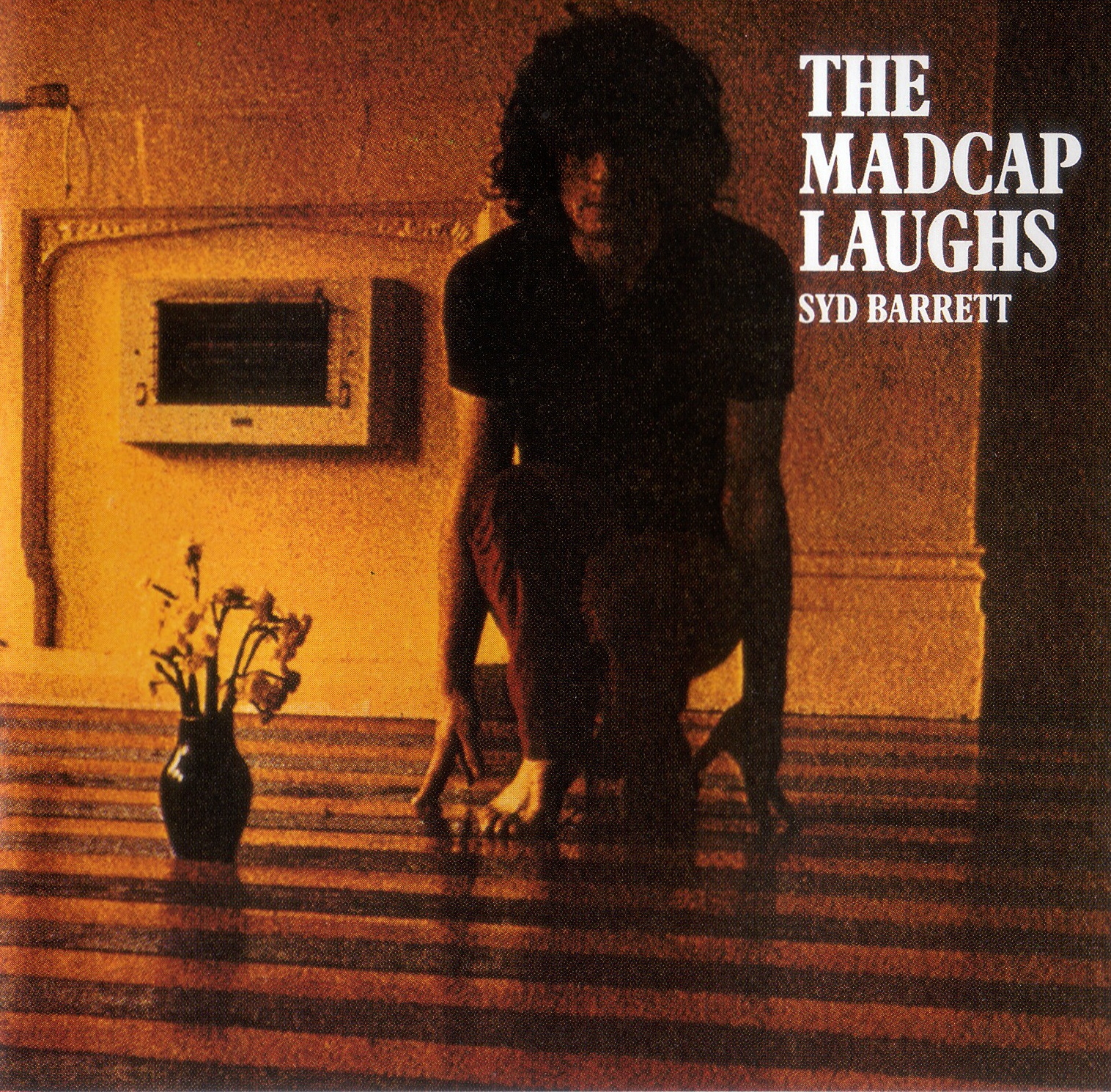 Syd Barrett — The Madcap Laughs