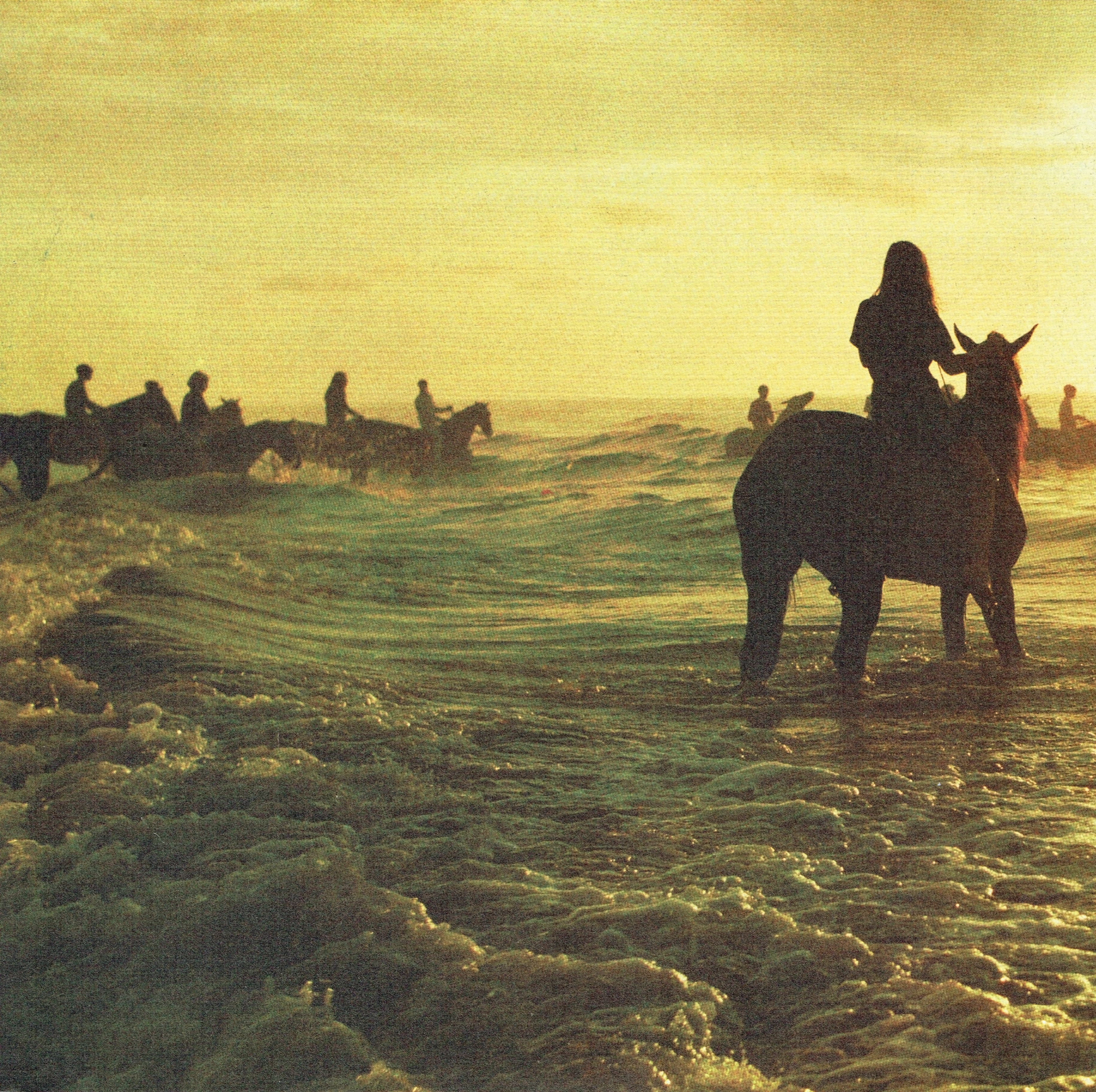 FOALS — HOLY FIRE