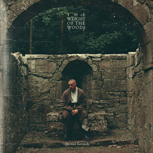 Dermot Kennedy — The Weight of the Woods