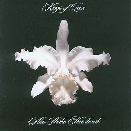 Kings Of Leon — Aha Shake Heartbreak