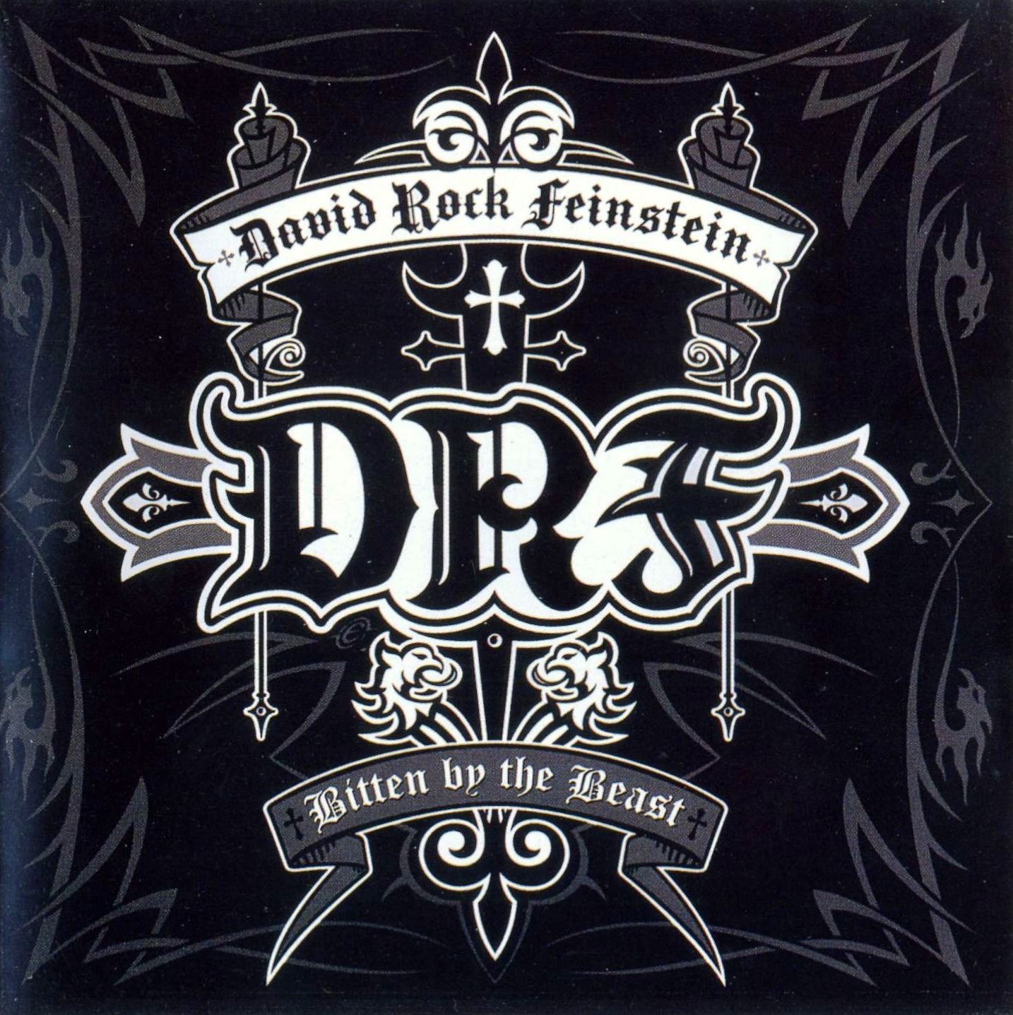 David "Rock" Feinstein — Bitten By The Beast