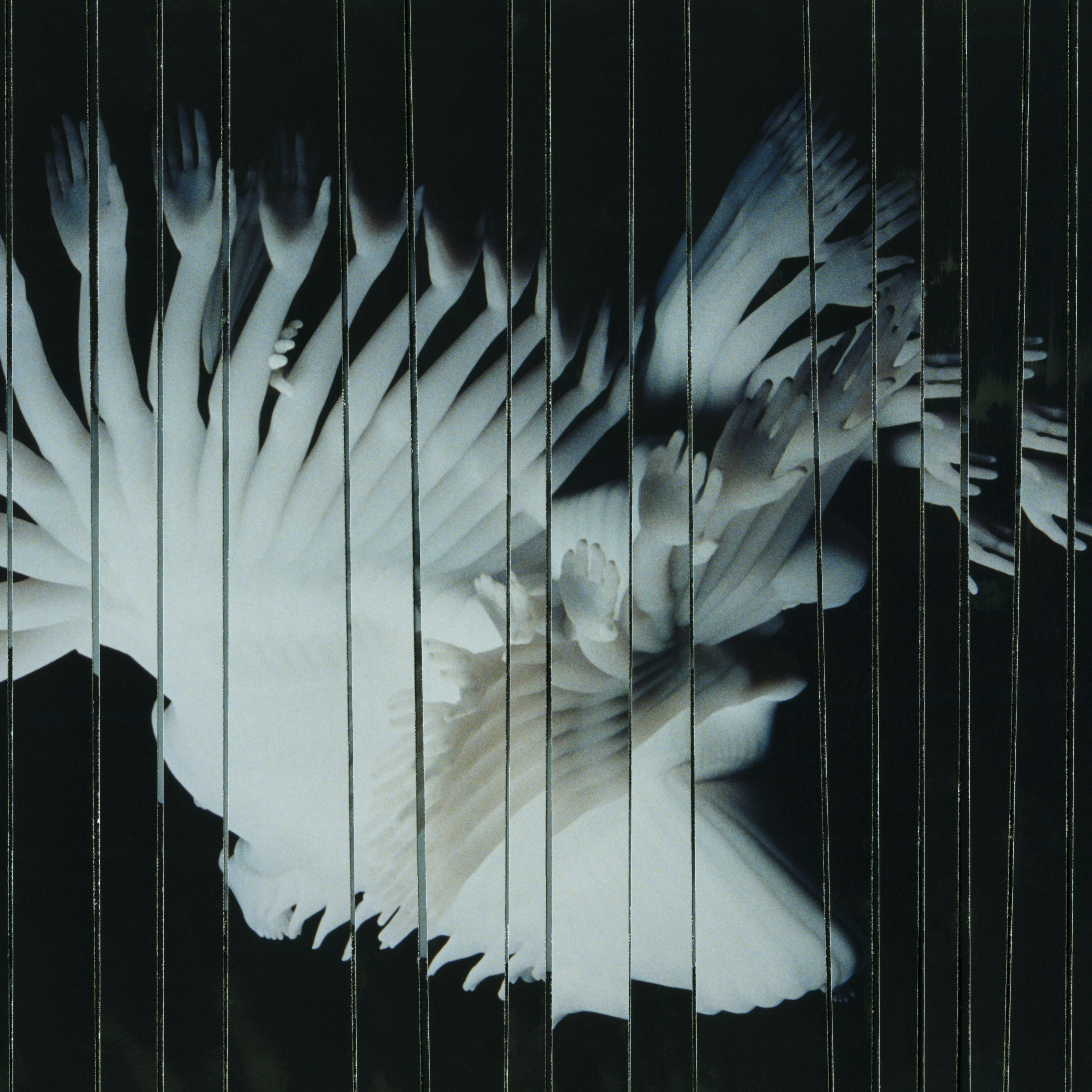 SCALER — ENDLESSLY