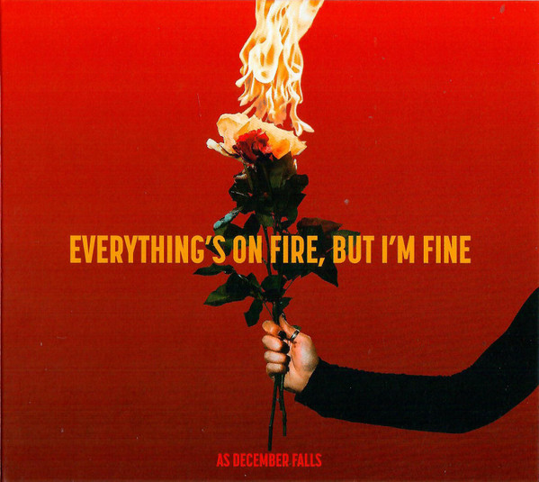AS DECEMBER FALLS — EVERYTHINGS ON FIRE BUT IM FINE