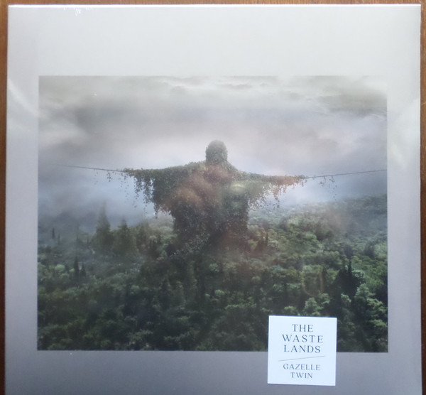 GAZELLE TWIN — THE WASTELANDS