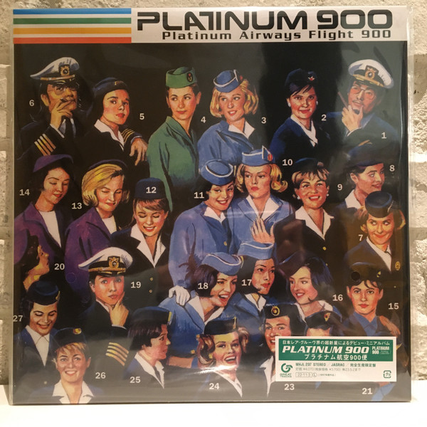 PLATINUM 900 — PLATINUM AIRWAYS FLIGHT 900