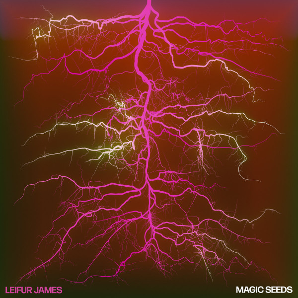 LEIFUR JAMES — MAGIC SEEDS