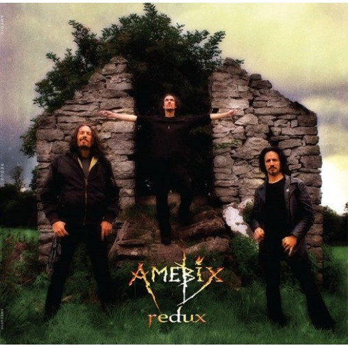 AMEBIX — Redux