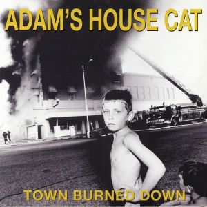 ADAM'S HOUSE CAT — Town Burned Down