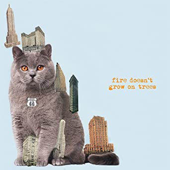 BRIAN JONESTOWN MASSACRE — FIRE DOESN'T GROW ON TREES