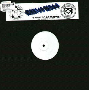 BARRY ADAMSON — BACK TO THE CAT