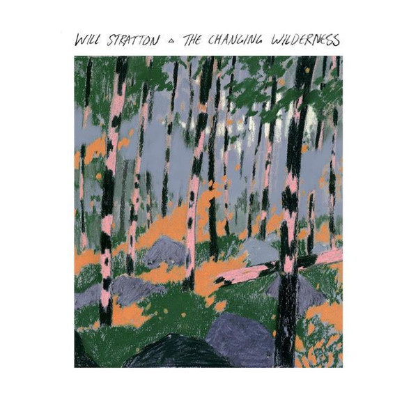 WILL STRATTON — THE CHANGING WILDERNESS