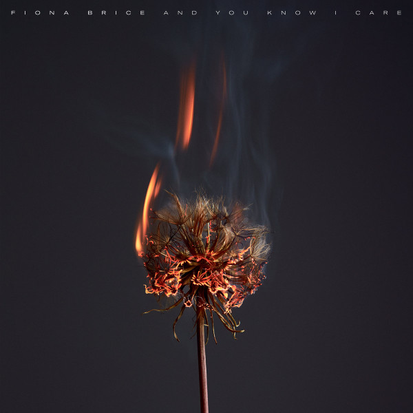 FIONA BRICE — AND YOU KNOW I CARE