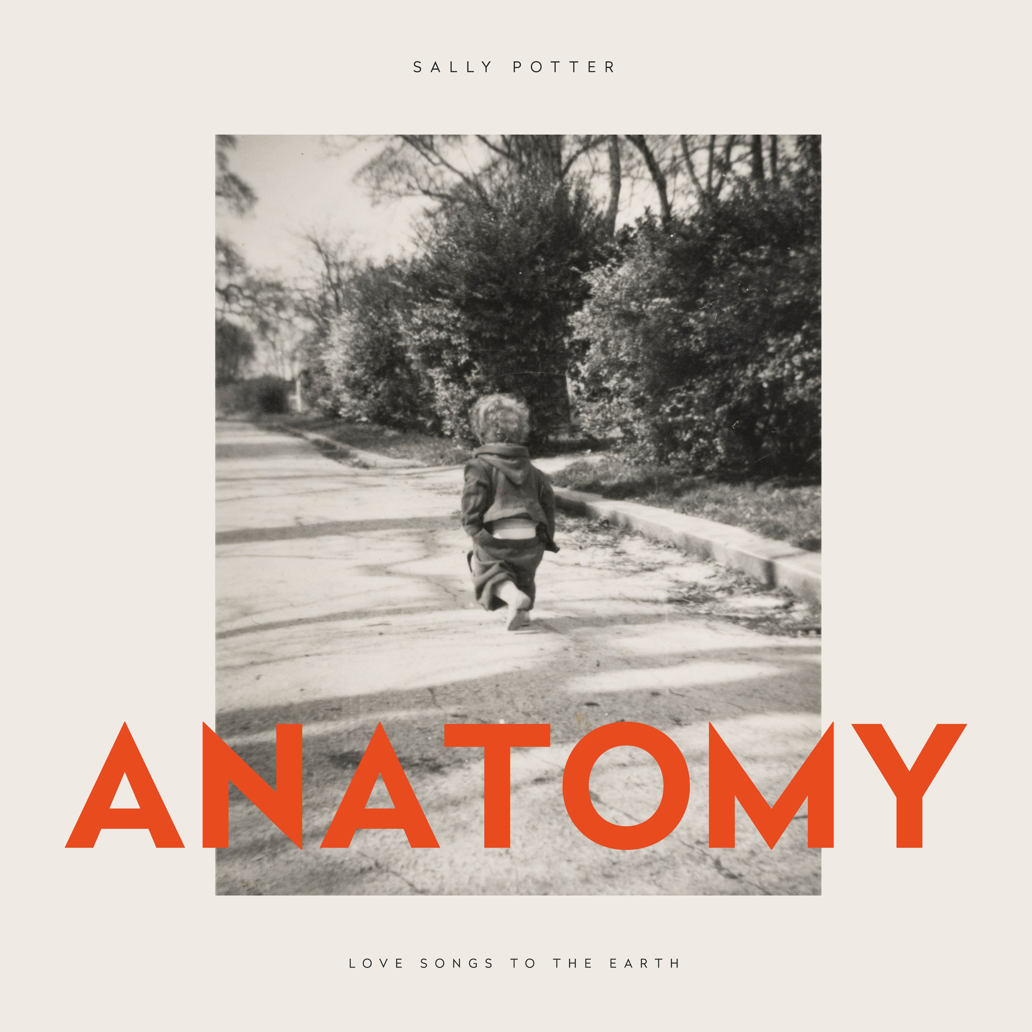 SALLY POTTER — ANATOMY