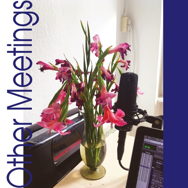 CRYS COLE — OTHER MEETINGS