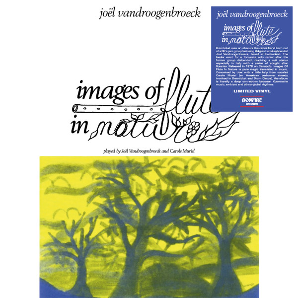 JOEL VANDROOGENBROECK — Images Of Flute In Nature