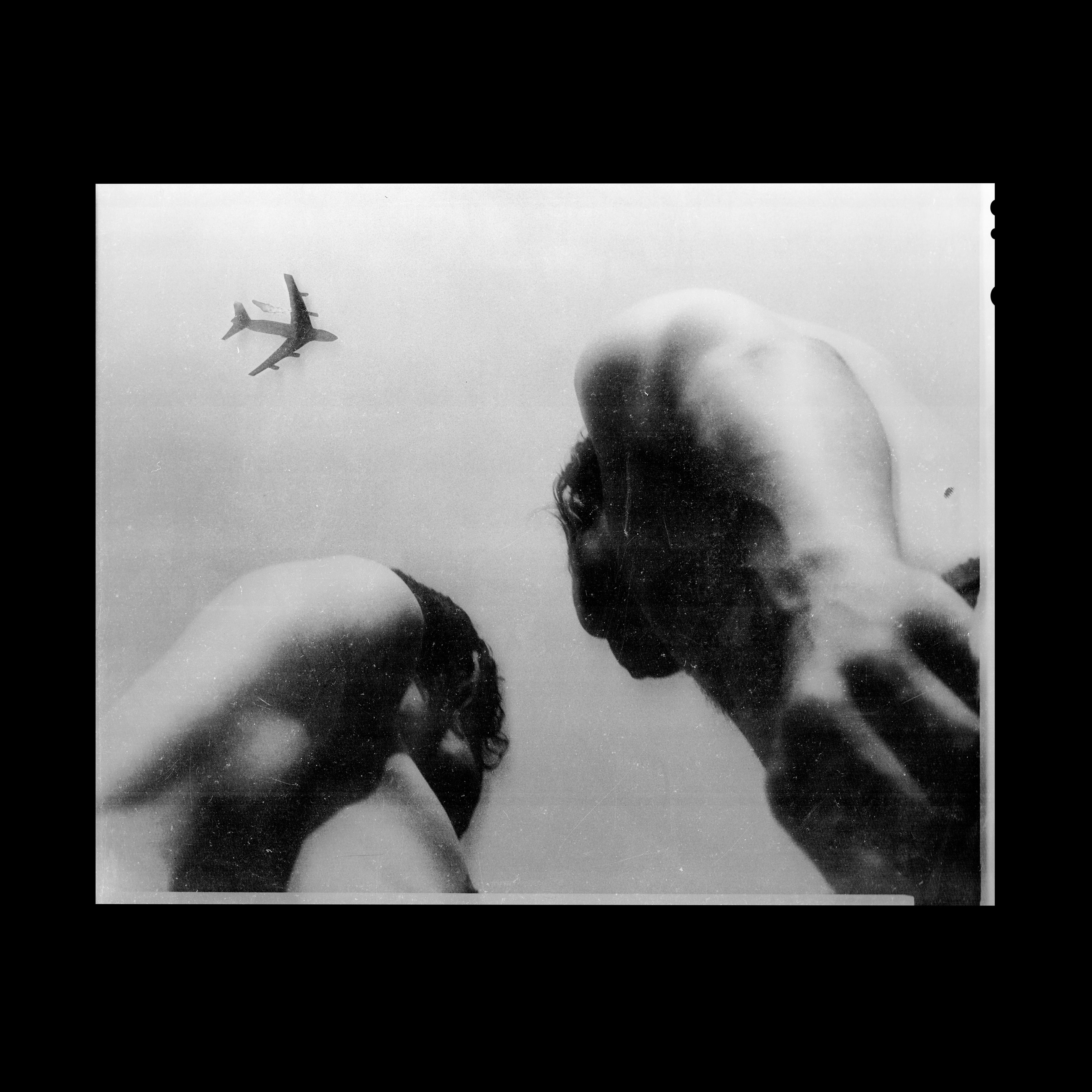 EVE ADAMS — METAL BIRD
