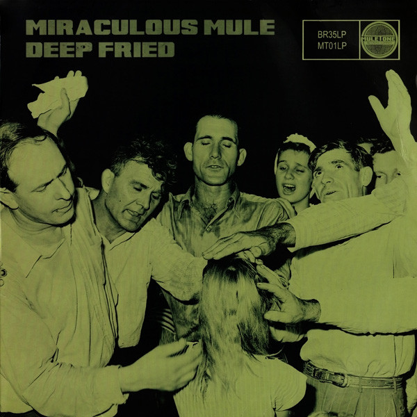 MIRACULOUS MULE — DEEP FRIED