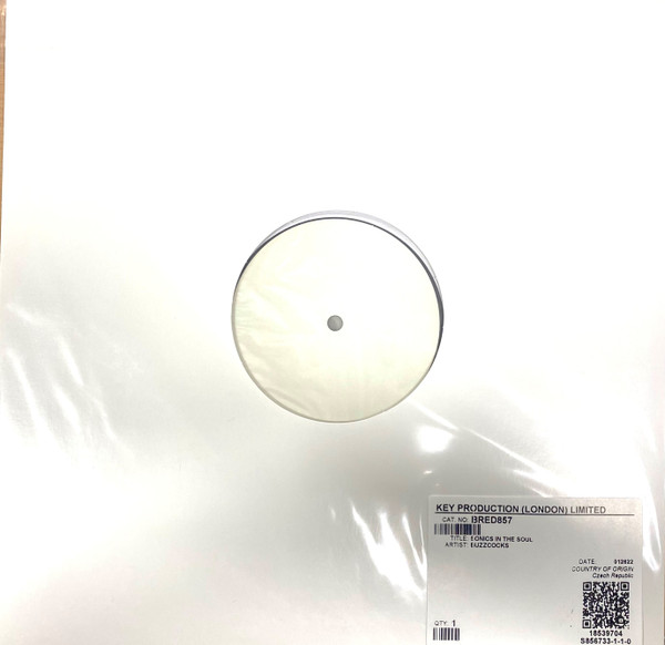 BUZZCOCKS — SONICS IN THE SOUL