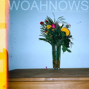 WOAHNOWS — Understanding And Everything Else
