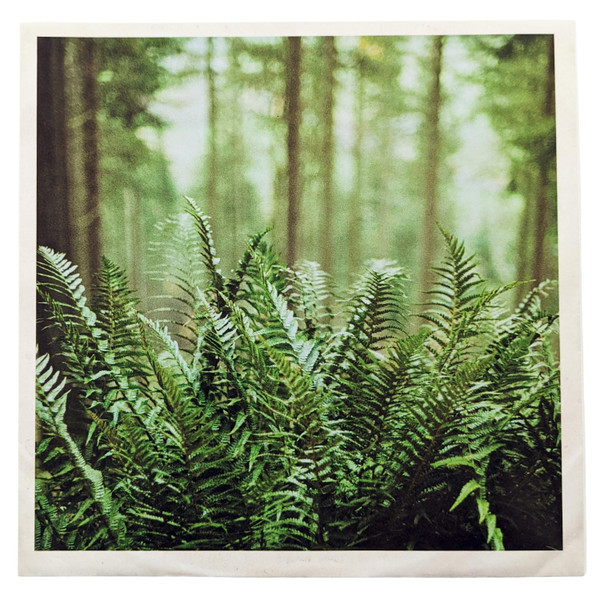 MTBRD — JUST VISITING