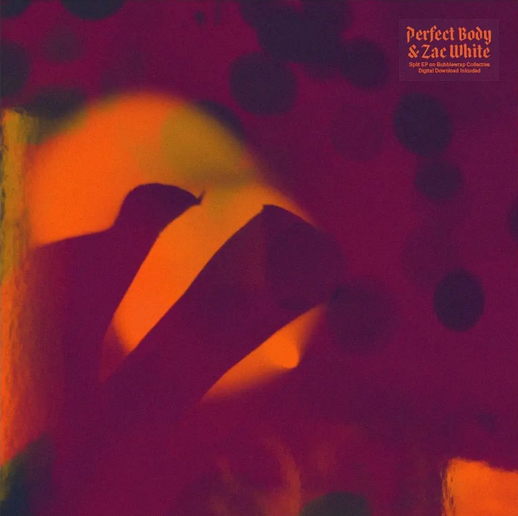 PERFECT BODY.ZAC WHI — Fields / Spent On You