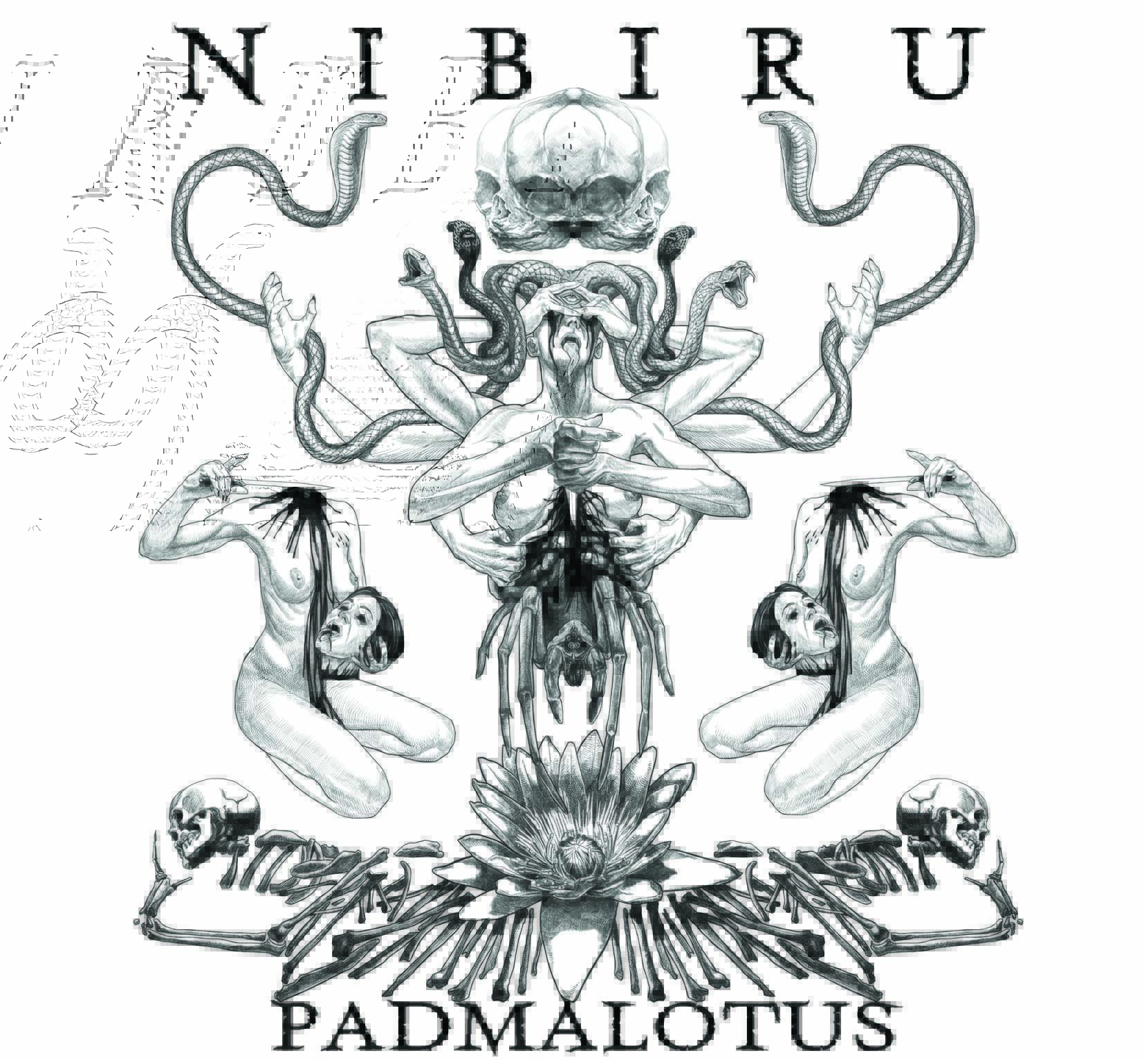 NIBIRU — PADMALOTUS