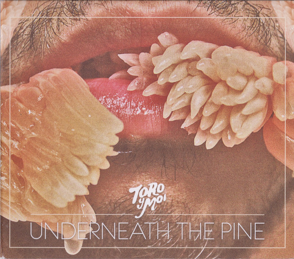 TORO Y MOI — UNDERNEATH THE PINE
