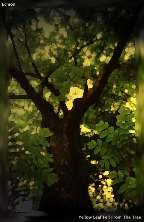 COLDREAMS — CRAZY NIGHT