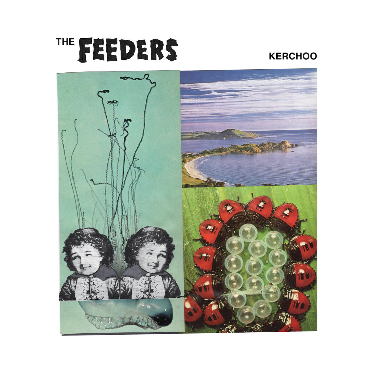FEEDERS — KERCHOO