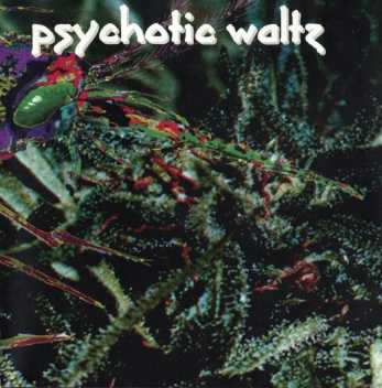 PSYCHOTIC WALTZ — MOSQUITO