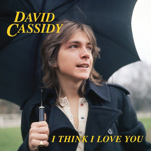 DAVID CASSIDY — I THINK I LOVE YOU -
