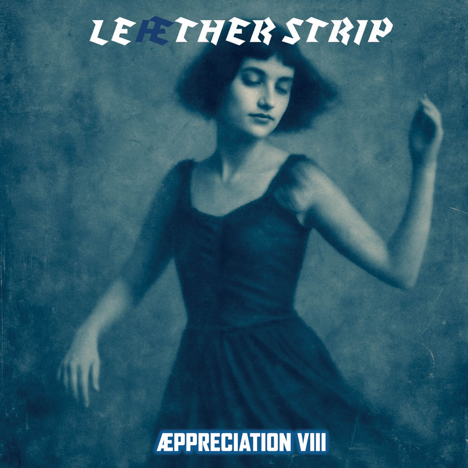 LEAETHER STRIP — AEPPRECIATION VIII