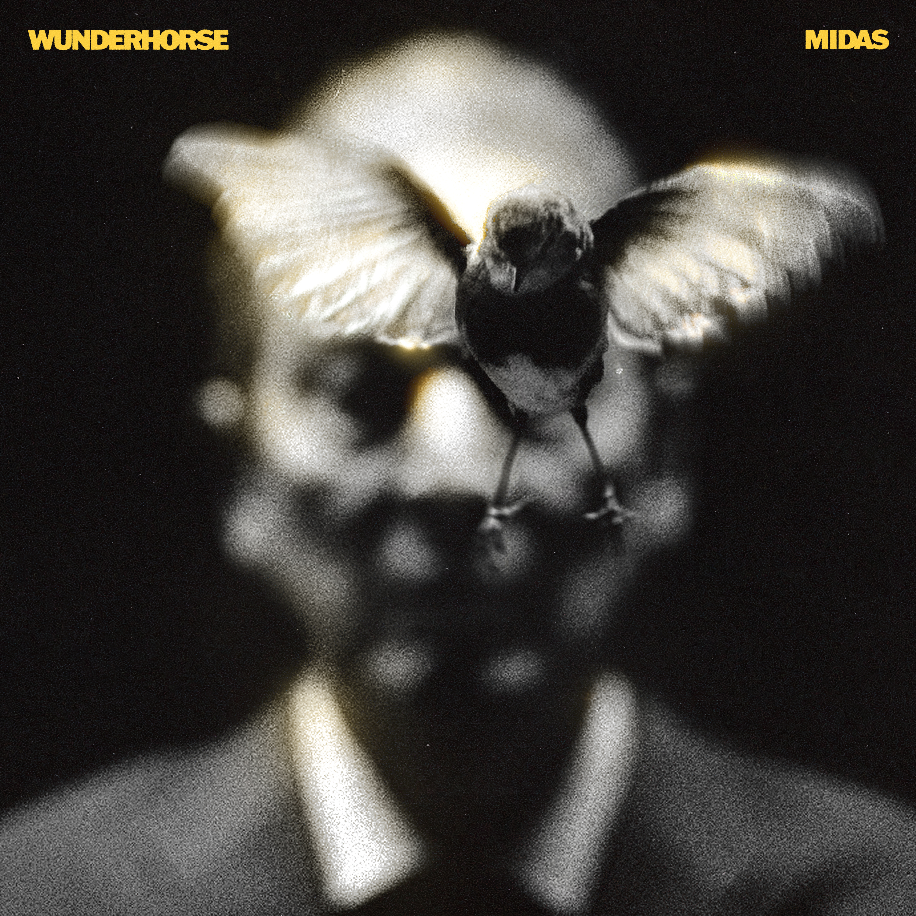 WUNDERHORSE — MIDAS