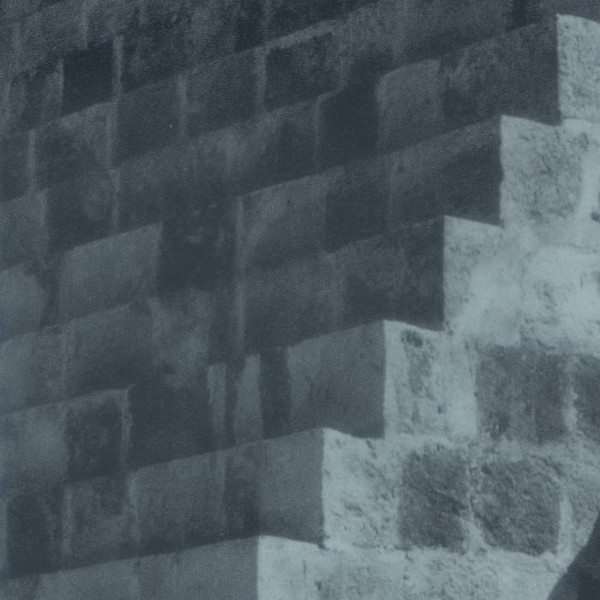 Pop Vulture — Another Success