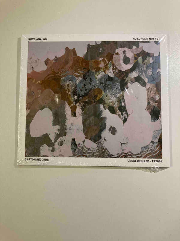 SHES ANALOG — NO LONGER  NOT YET