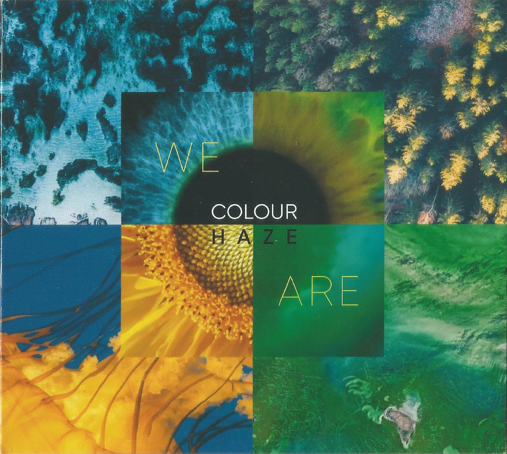 COLOUR HAZE — WE ARE