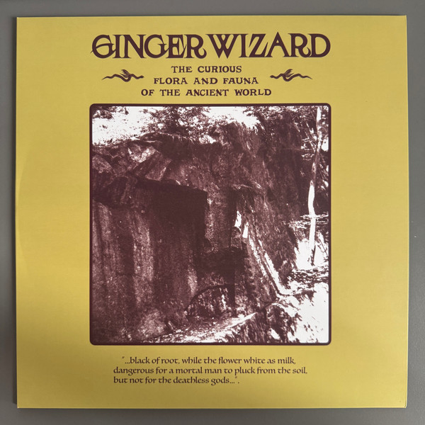 GINGER WIZARD — THE CURIOUS FLORA AND FAUNA OF THE ANCIENT WOR