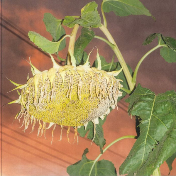 PHATNESS — FILLERKILLER