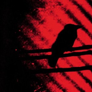 THEE SILVER MT ZION MEMORIAL ORCHESTRA — BORN INTO TROUBLE AS THE SPARKS FLY UPWARD